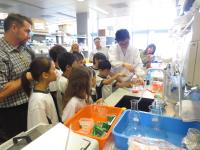 Students conduct simple experiments in the laboratory